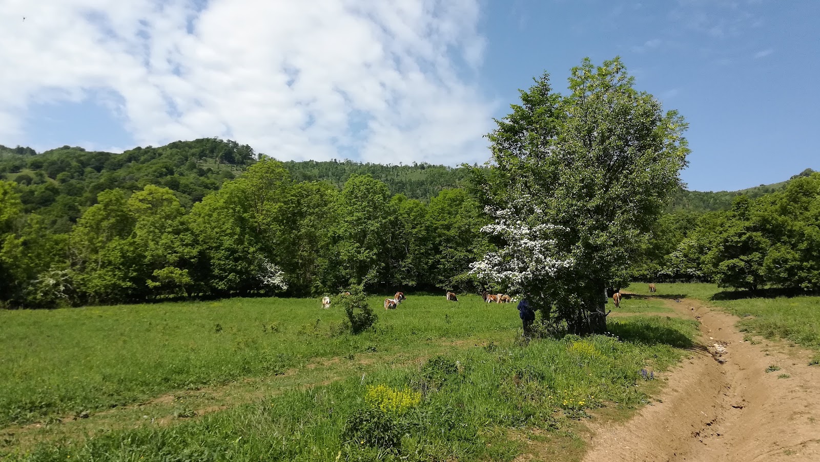 IMG_20180506_112435