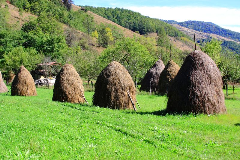 Ocolisel-Cluj-4